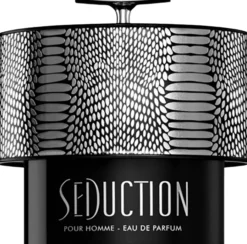 Armaf Seduction Pour Homme Eau de Parfum 100 ml