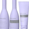 Björn AxénRepair Cool Blonde Coloring Silver Trio