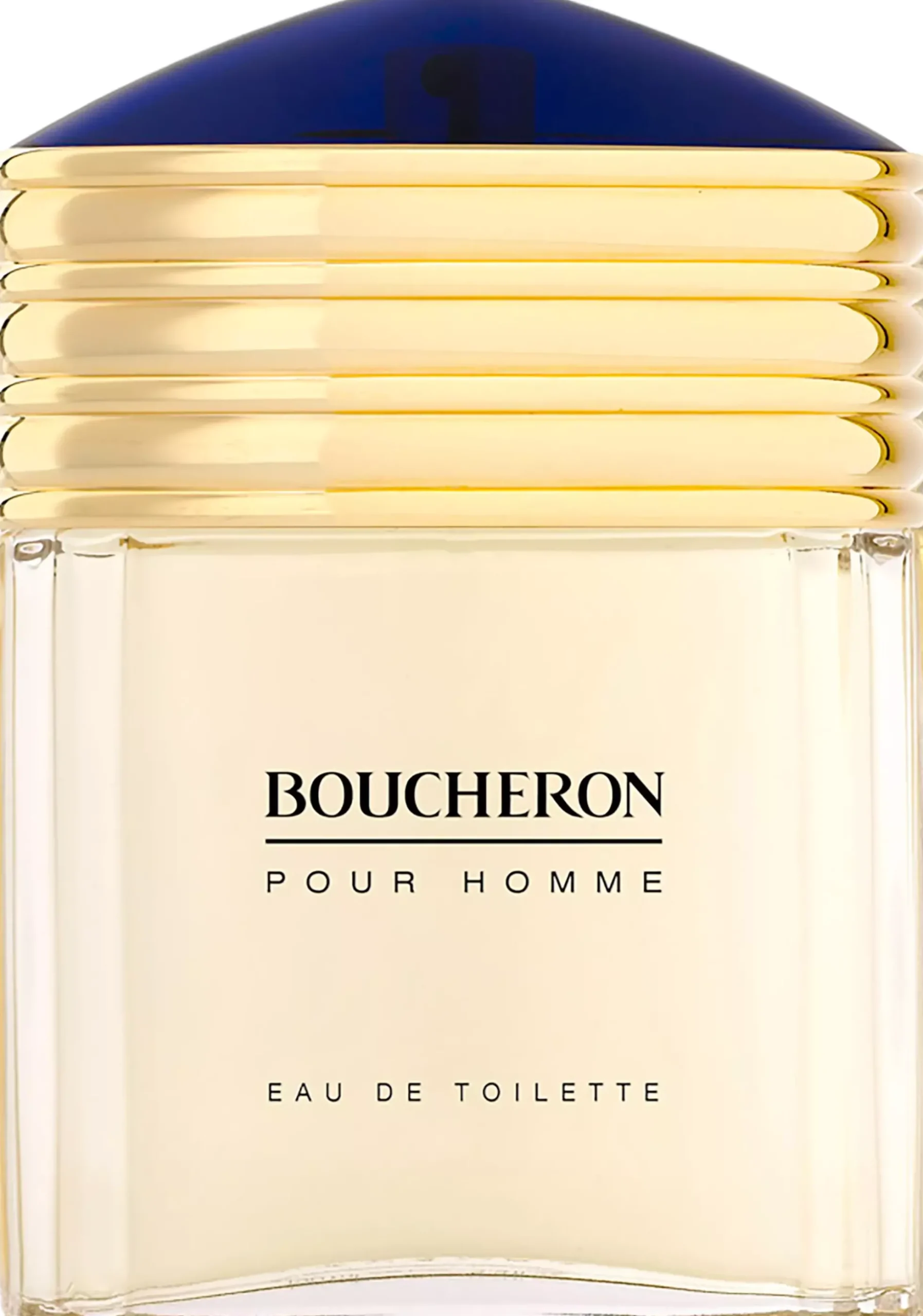 Boucheron Pour Homme Eau de Toilette 100 ml