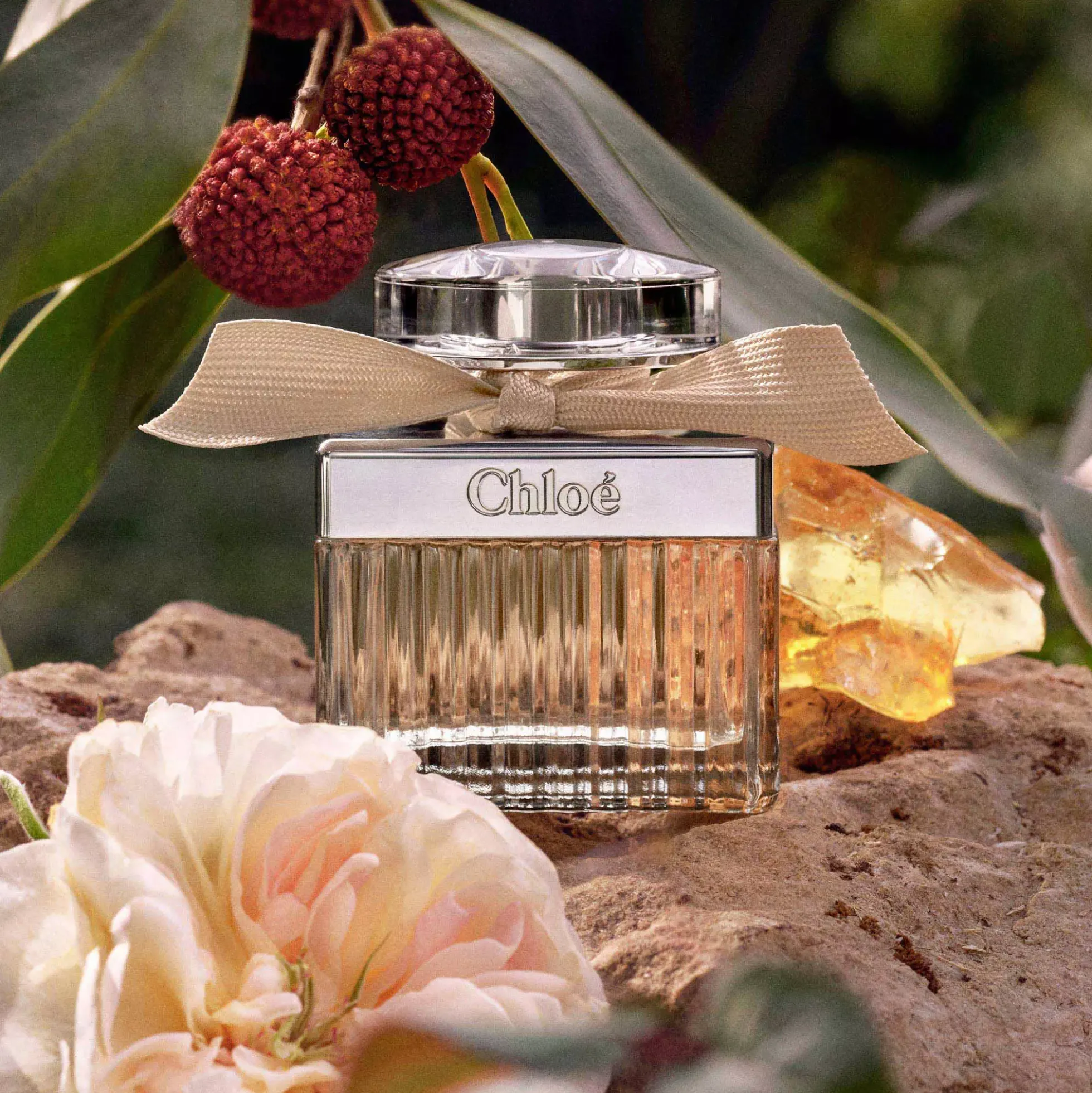 Chloé Eau de Parfum for Women 30 ml