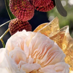 Chloé Eau de Parfum for Women 30 ml