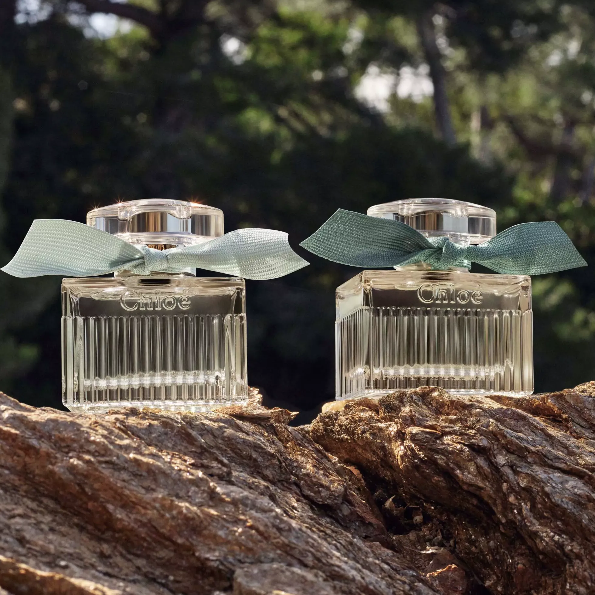 Chloé Rose Naturelle Intense Eau de Parfum 30 ml