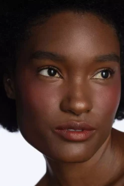 CLE Melting Lip Powder Desert Rose