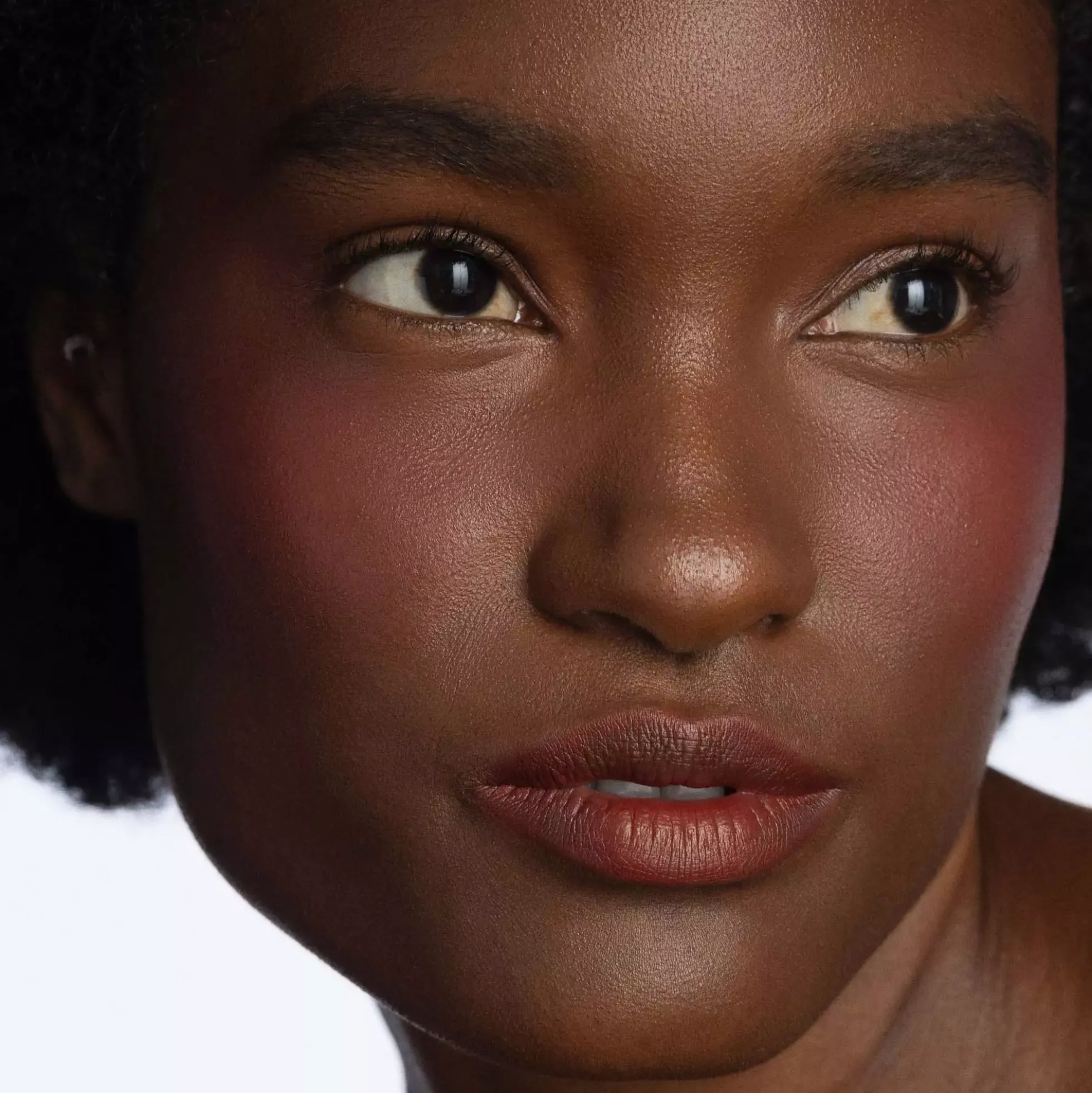 CLE Melting Lip Powder Desert Rose