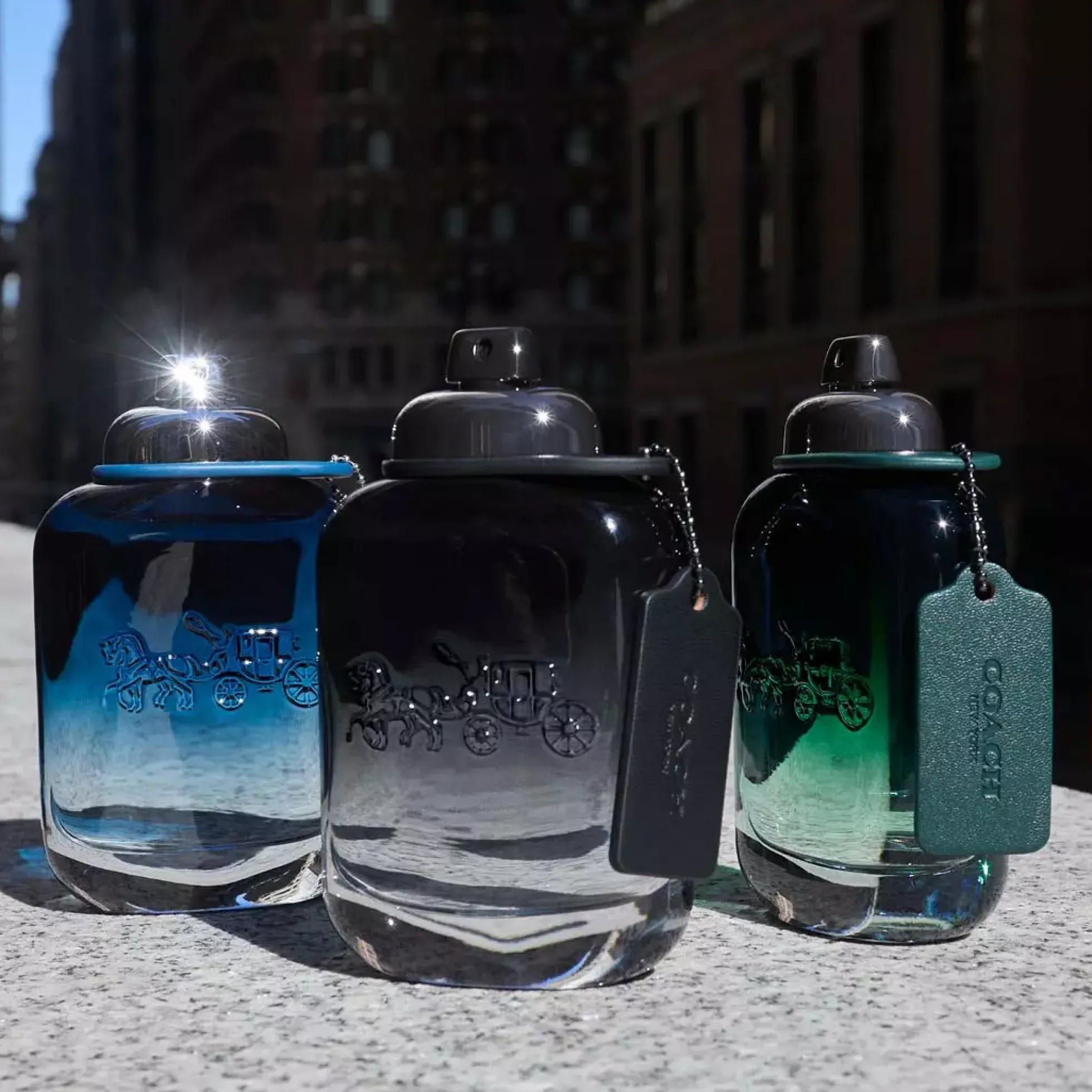 Coach Blue Edt 40 ml