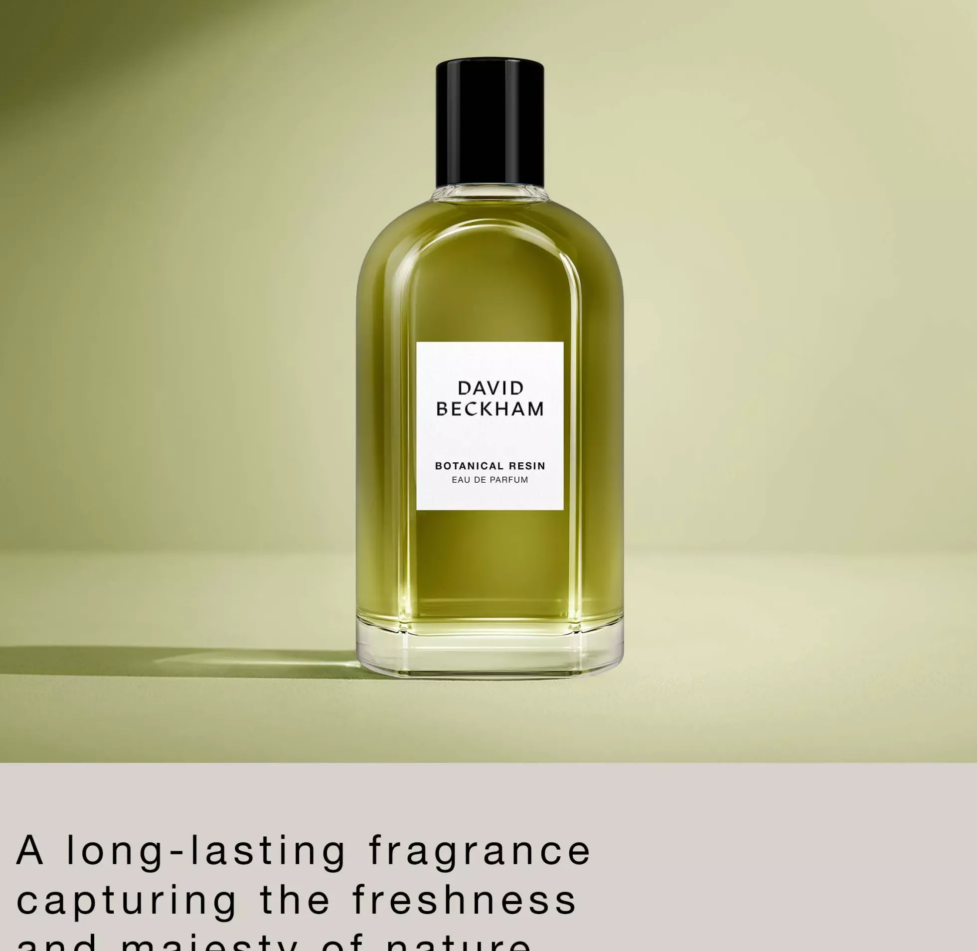 David Beckham Botanical Resin Eau de Parfum 100 ml