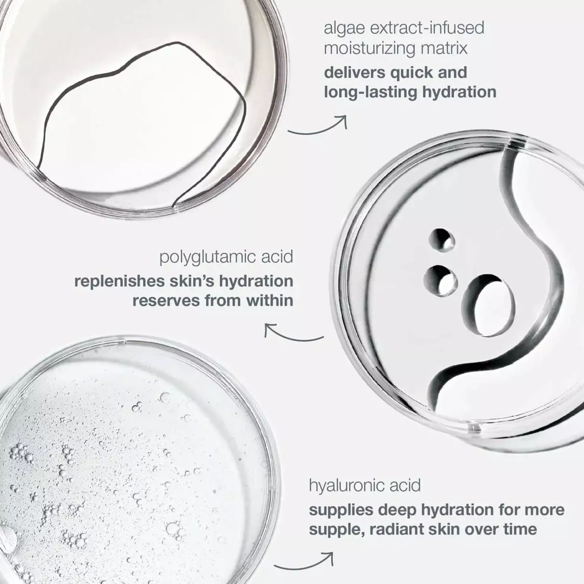Dermalogica Circular Hydration Serum 30 ml