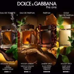 Dolce & Gabbana The One Pour Homme Parfum 50 st