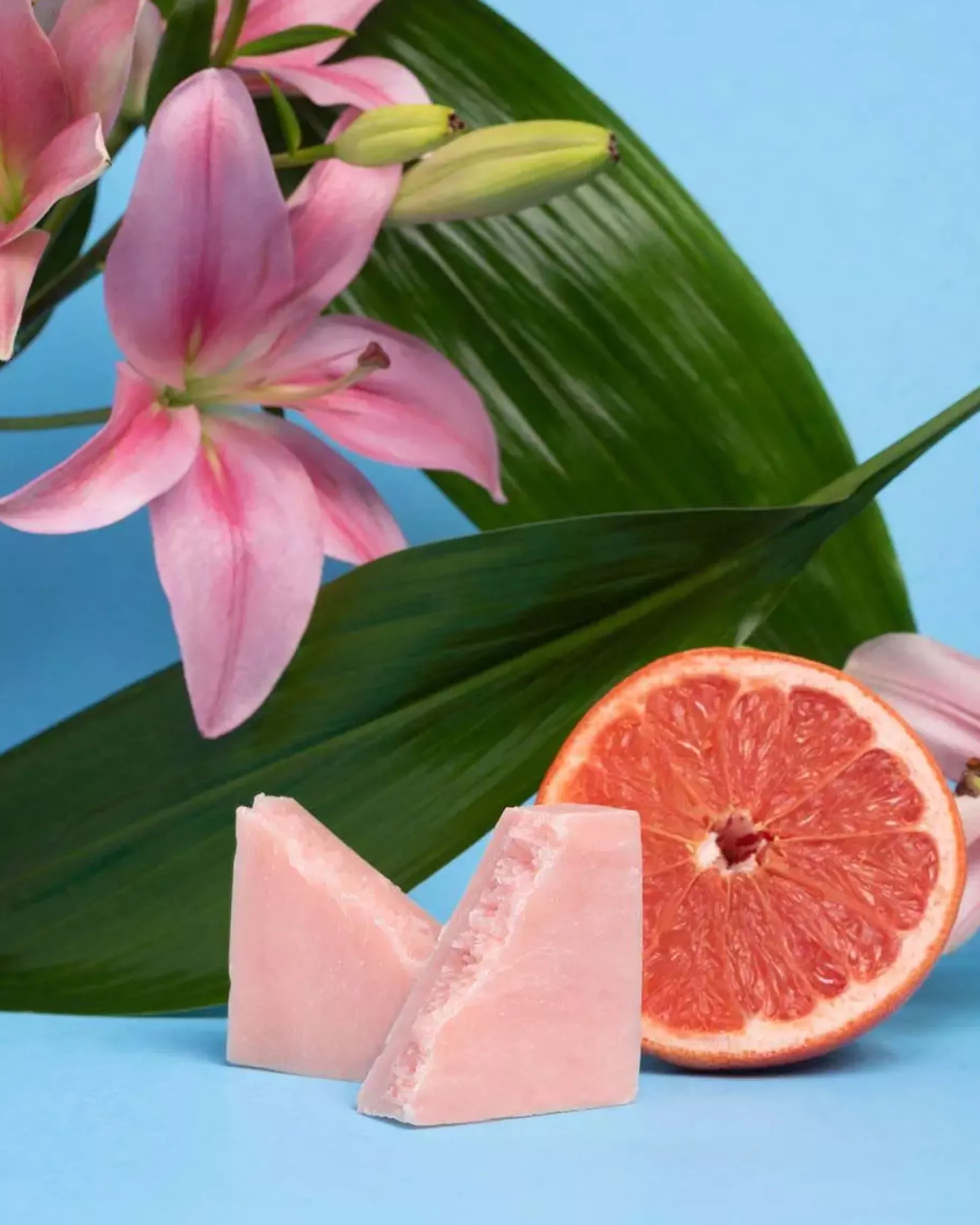 Earth Harbor Rose Bay Balancing Facial Soap 113 g