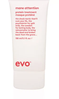Evo Repair Mane Attention Protein Treatment 140 ml