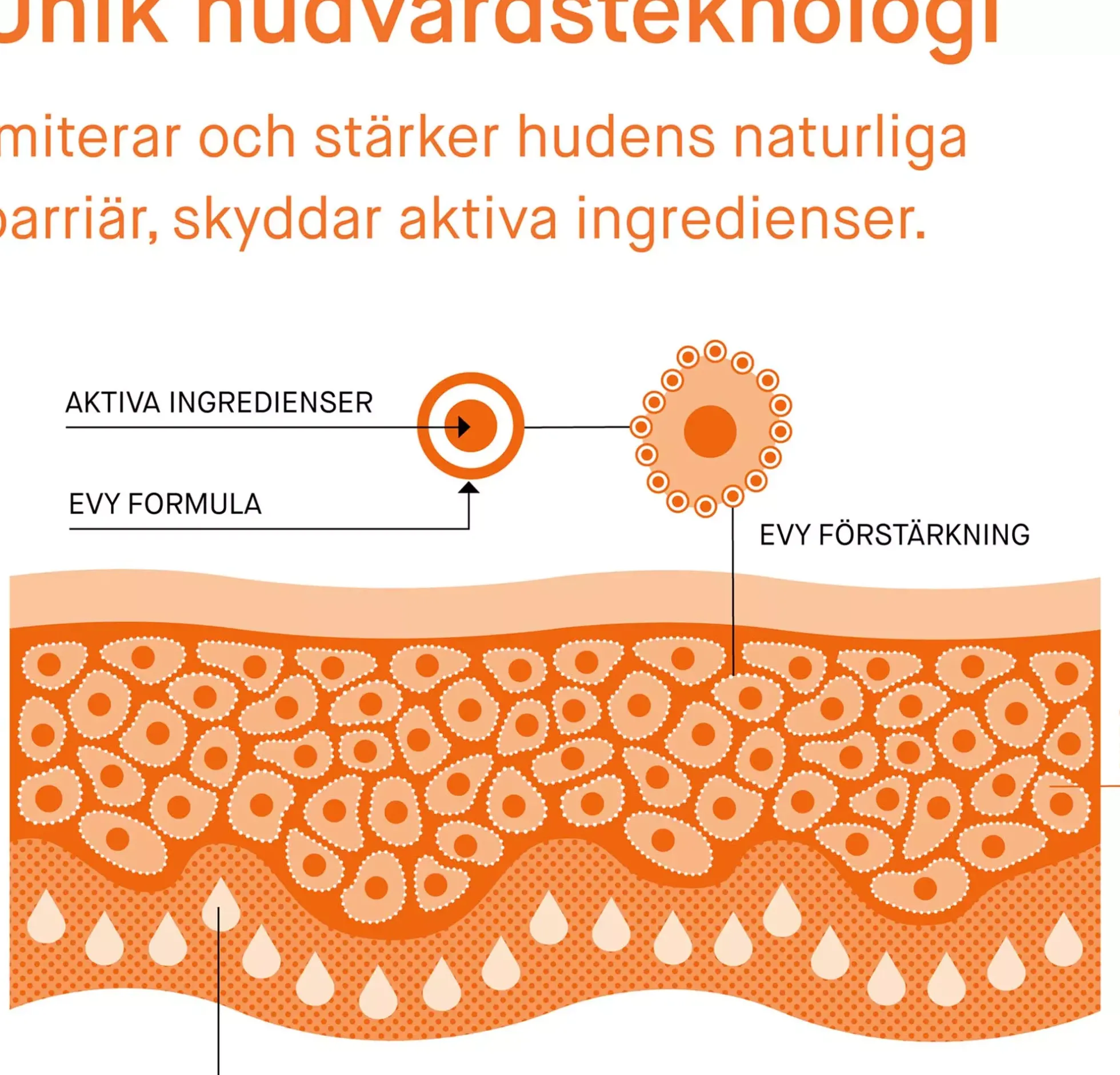 EVY Sunscreen mousse spf 50 100 ml