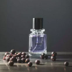 Fugazzi Saint Remy Eau de Parfum 100 ml