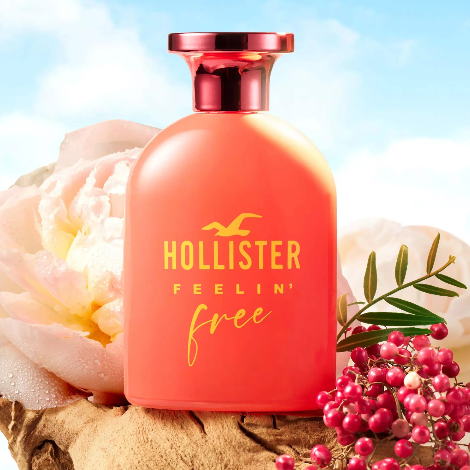 HollisterFeelin´ Free For Her Eau de Parfum 100 ml