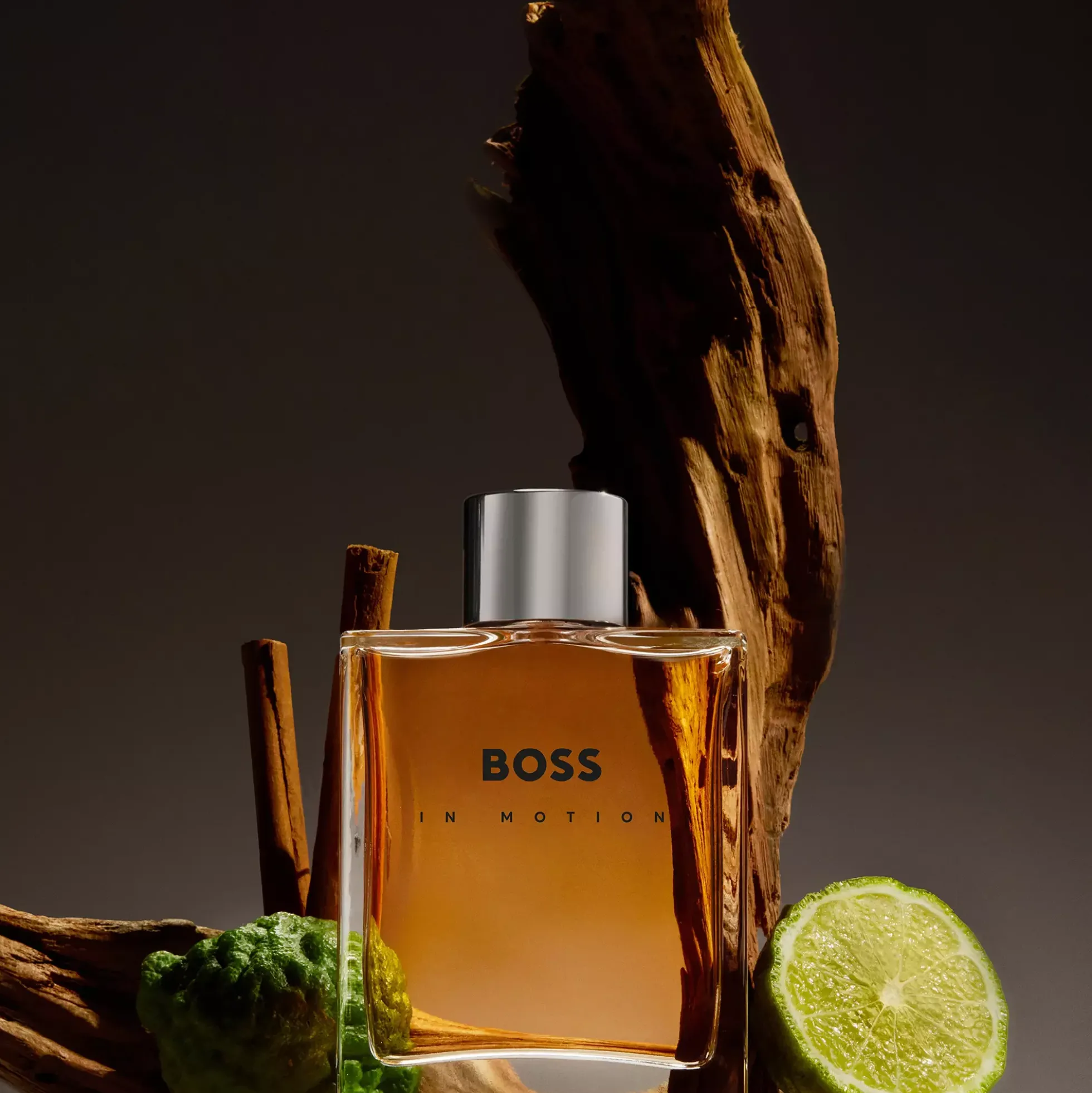 Hugo Boss In Motion Eau de Toilette 100 ml