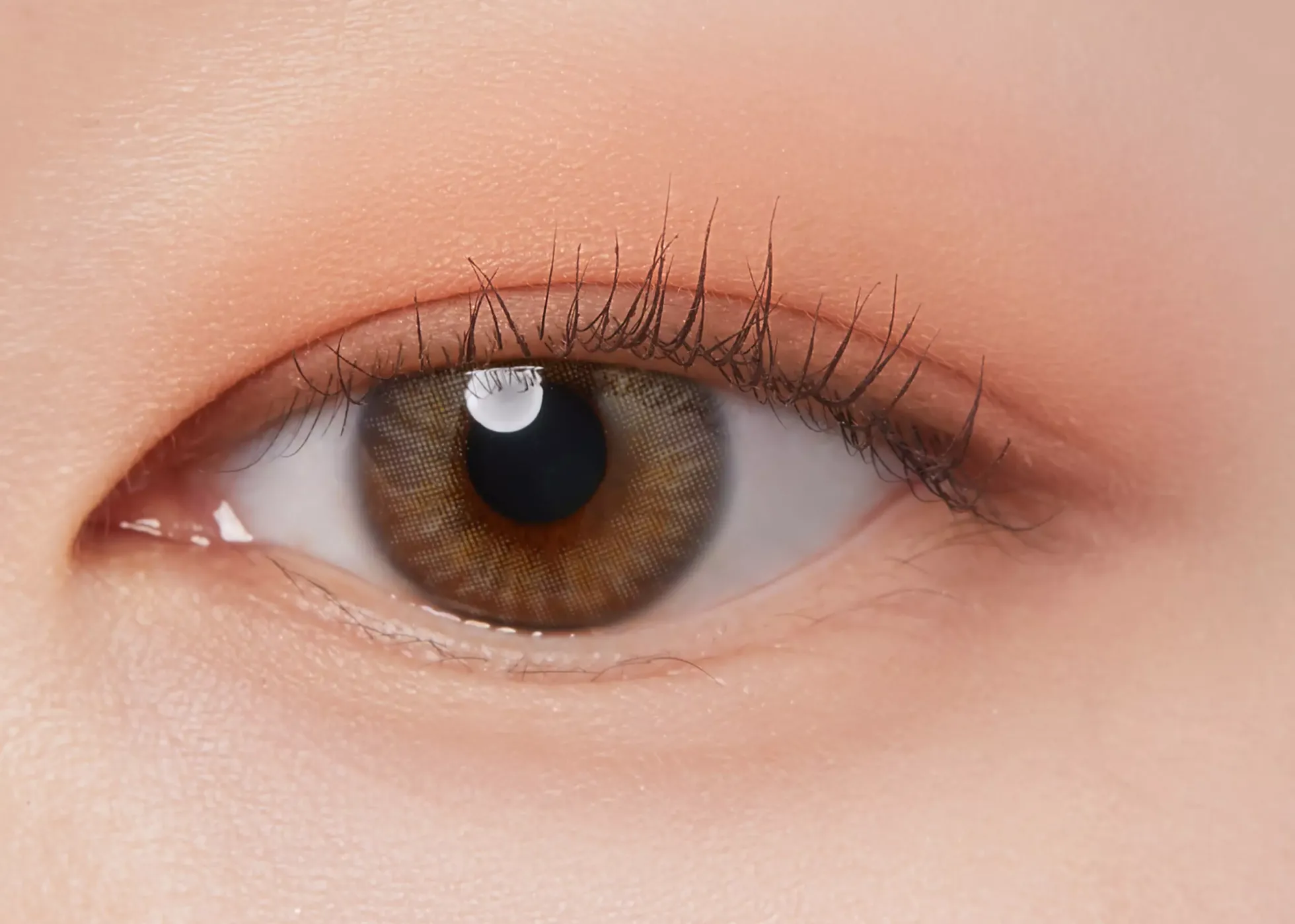 I'm Meme Color Pattern Palette 001 Coral Pattern