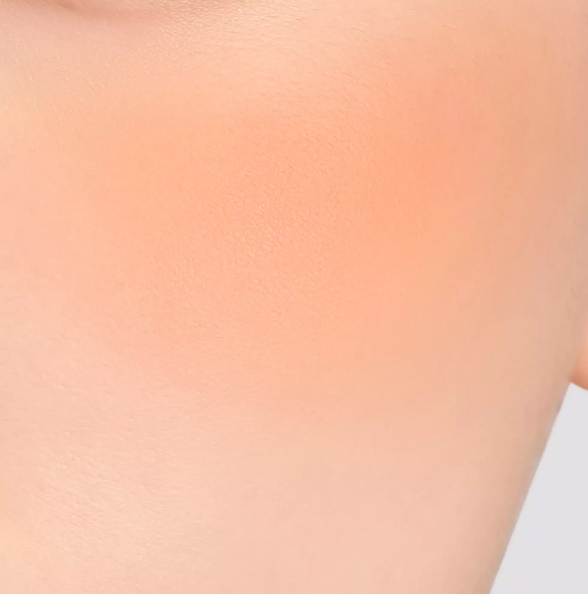 I'm Meme Color Pattern Palette 001 Coral Pattern