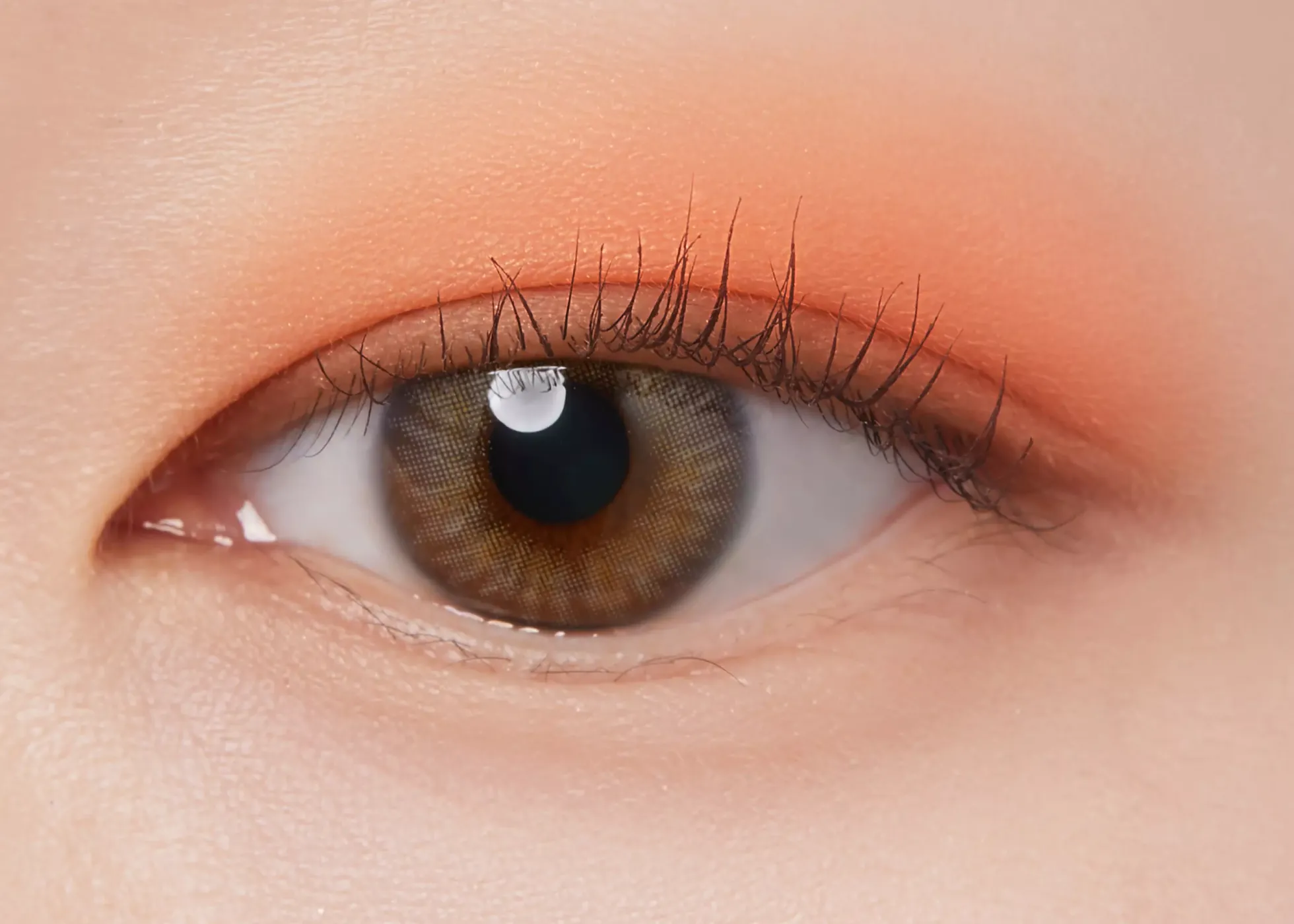 I'm Meme Color Pattern Palette 001 Coral Pattern