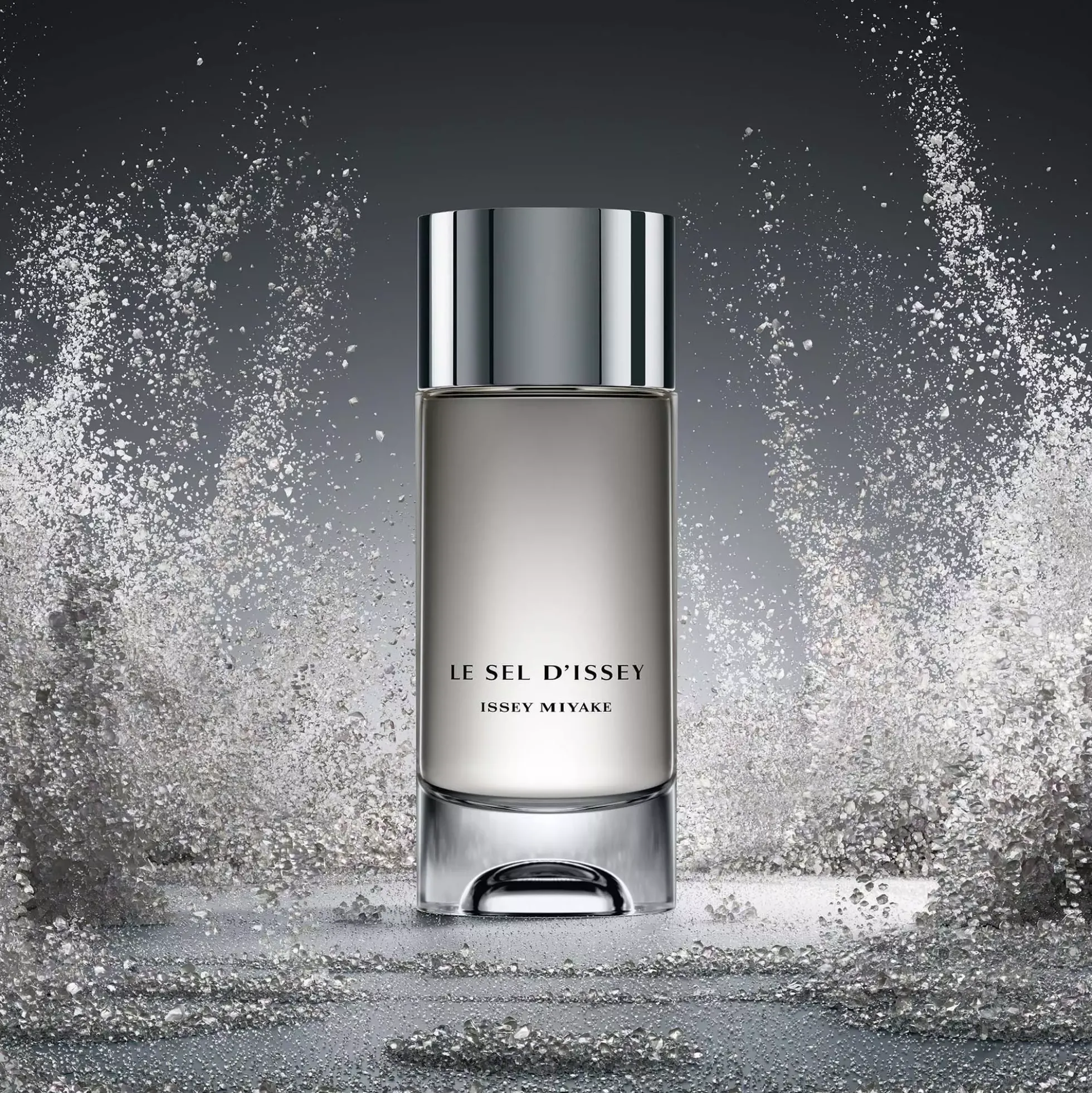 Issey Miyake Le Sel D'Issey Eau de Toilette 100 ml