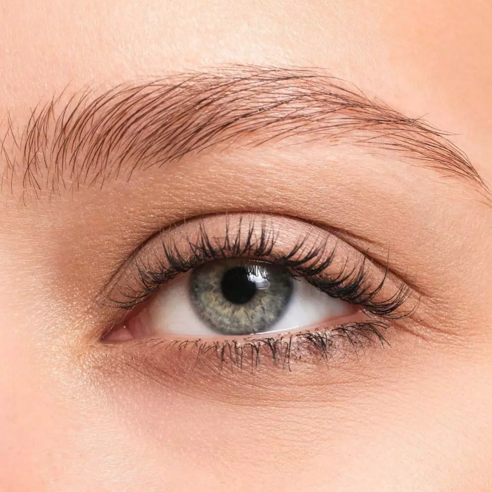 JASON WU BEAUTY Wu Brow 24/7 Laminate