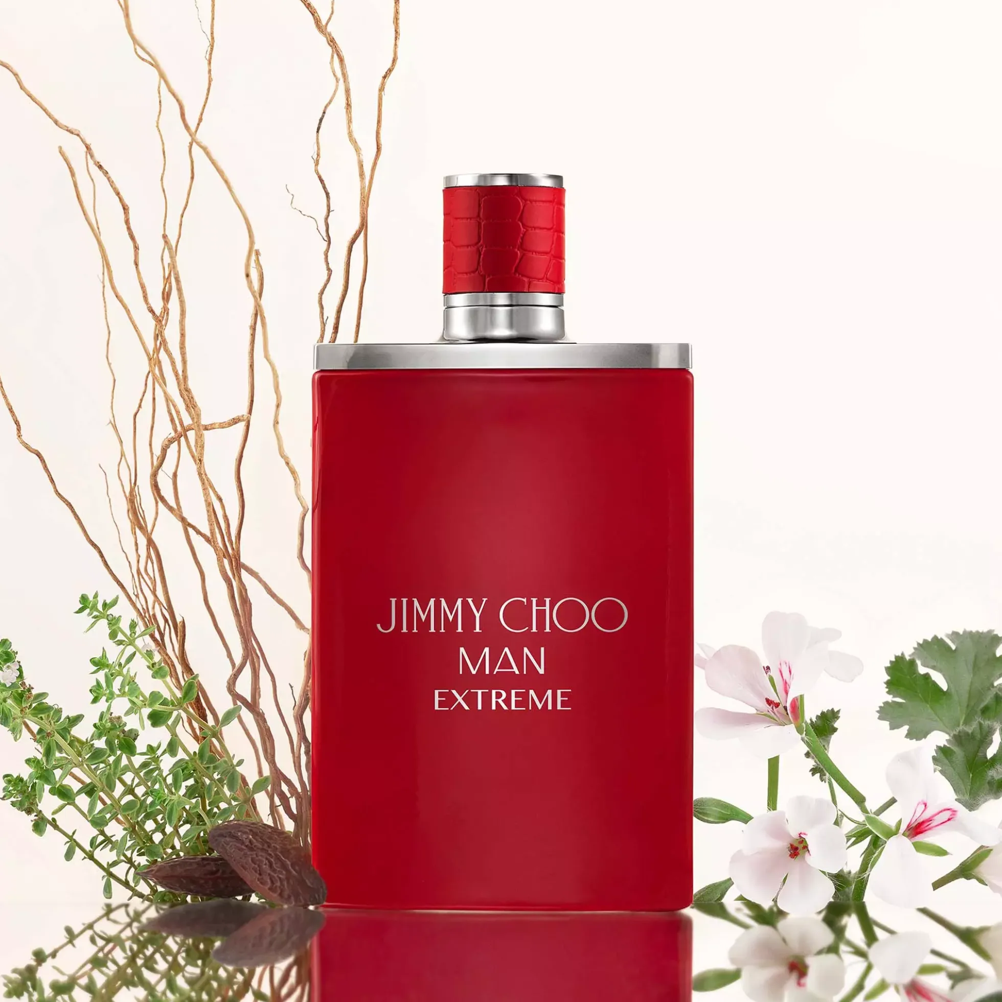 Jimmy Choo Man Extreme Eau de Parfum 50 ml