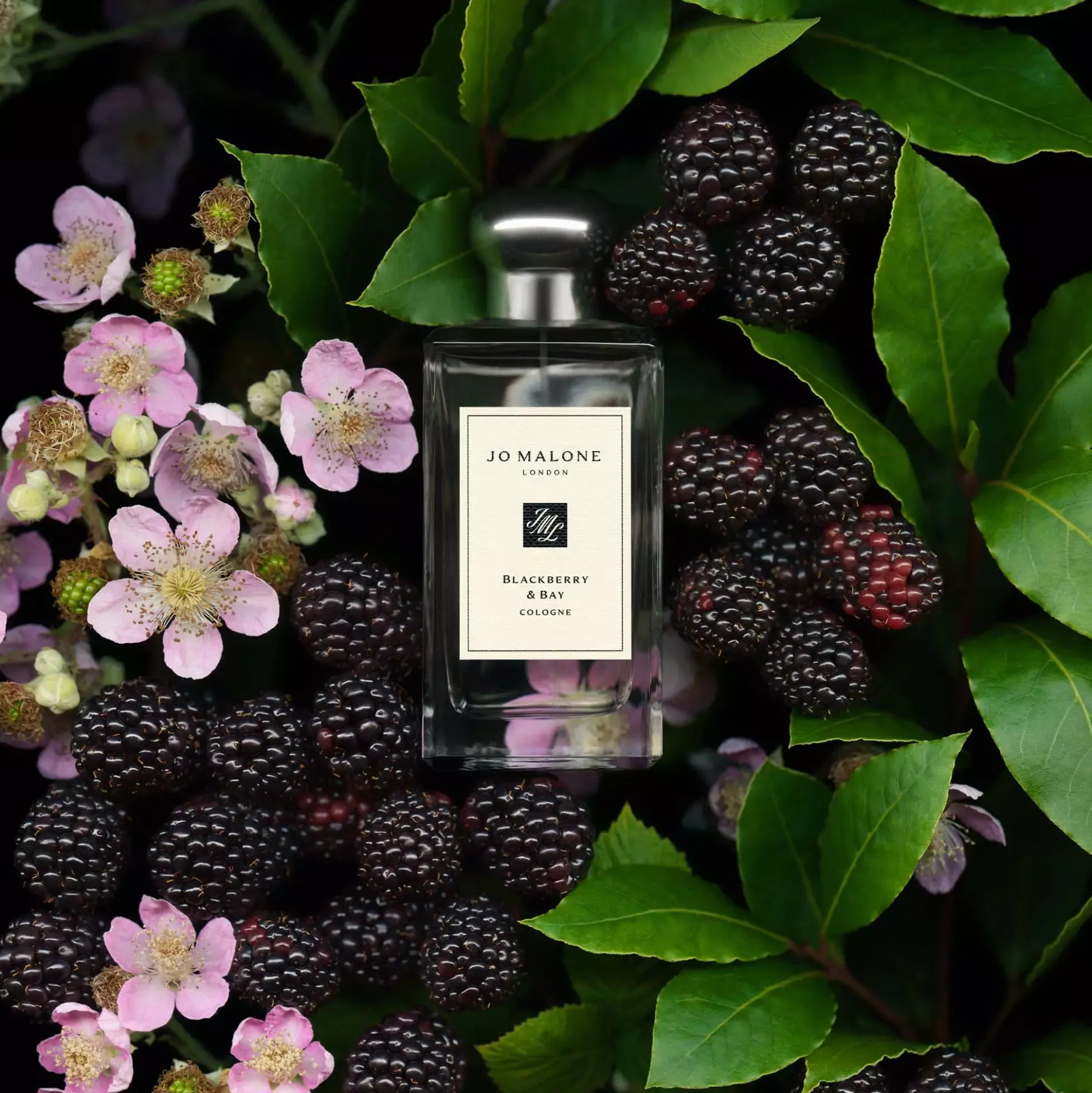 Jo Malone London Blackberry & Bay Cologne Pre-Pack 30 ml