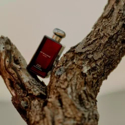 Jo Malone London Myrrh & Tonka Cologne Intense Pre-Pack 100 ml