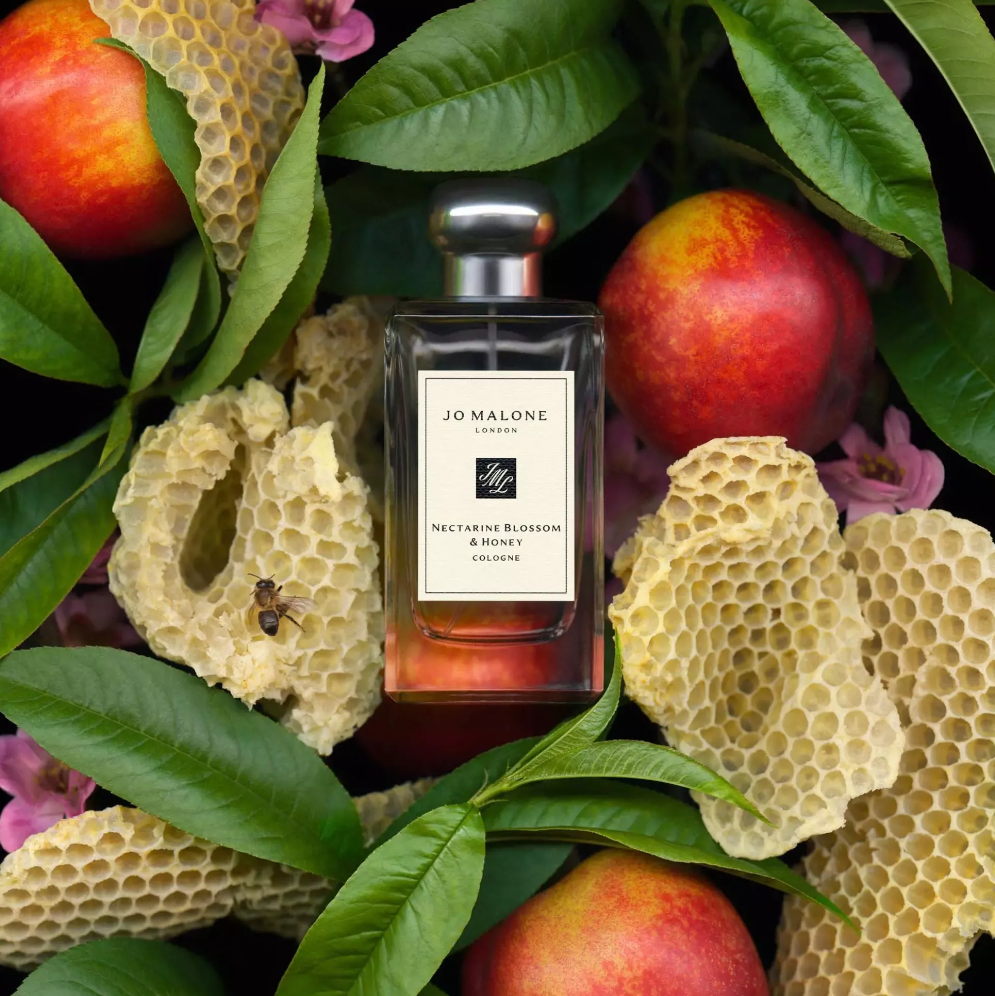 Jo Malone London Nectrarin Blossom & Honey Cologne Pre-Pack 100 ml