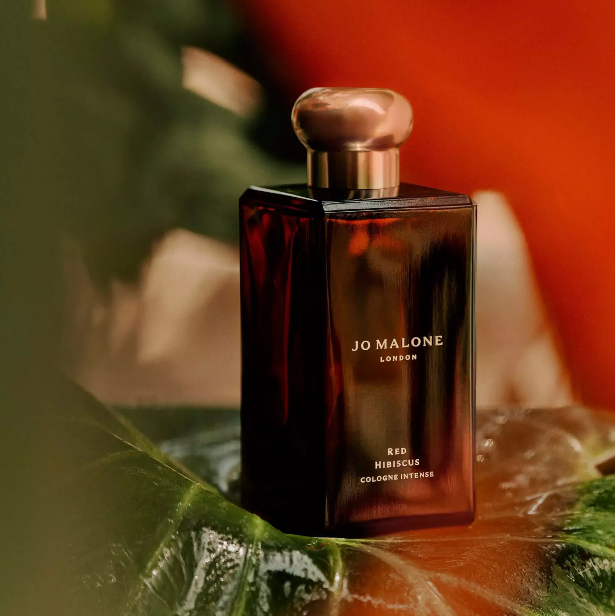 Jo Malone London Red Hibiscus Cologne Intense Pre-Pack 100 ml