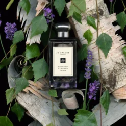Jo Malone London Silver Birch & Lavender Cologne Pre-Pack 100 ml