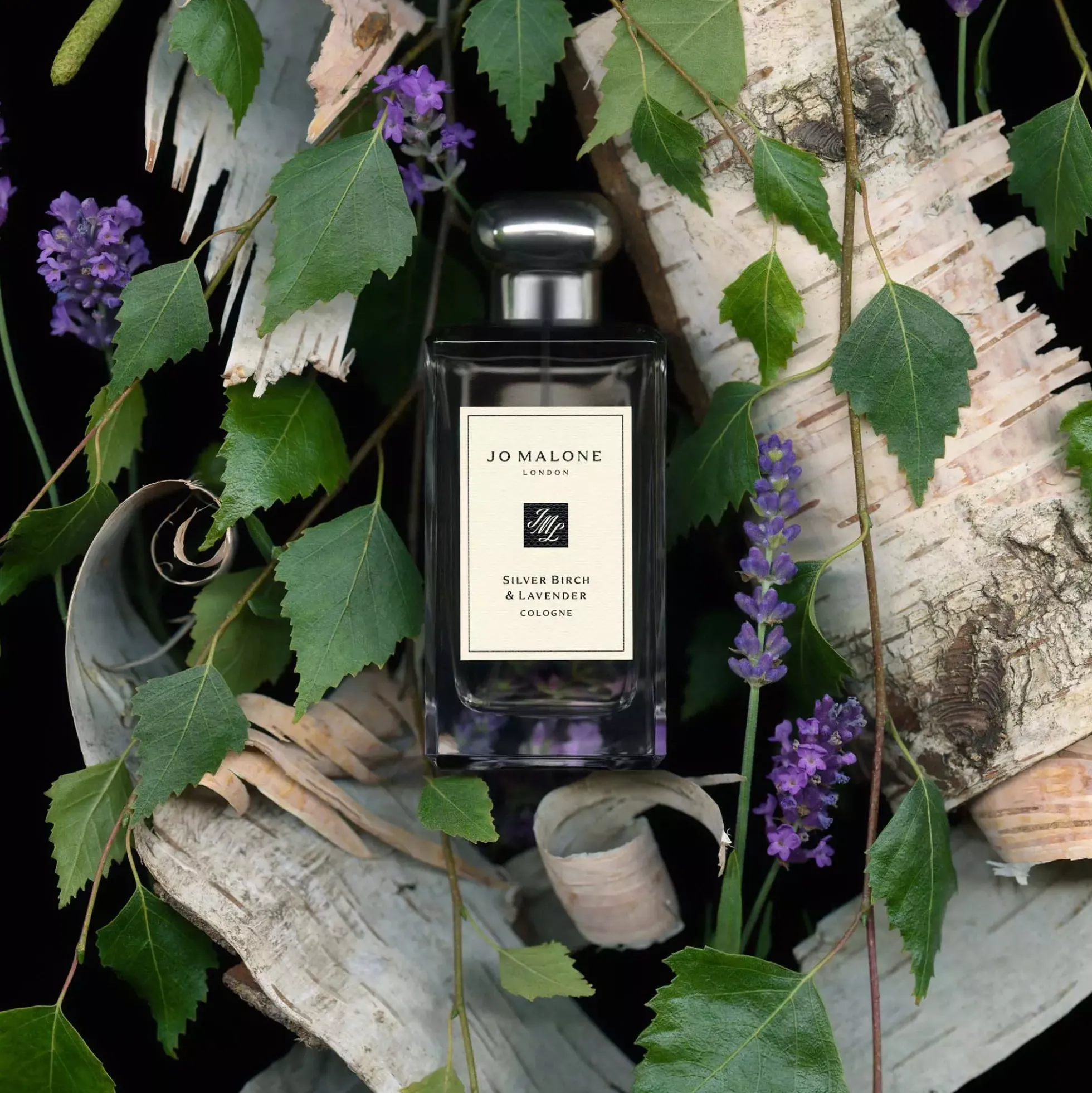 Jo Malone London Silver Birch & Lavender Cologne Pre-Pack 100 ml