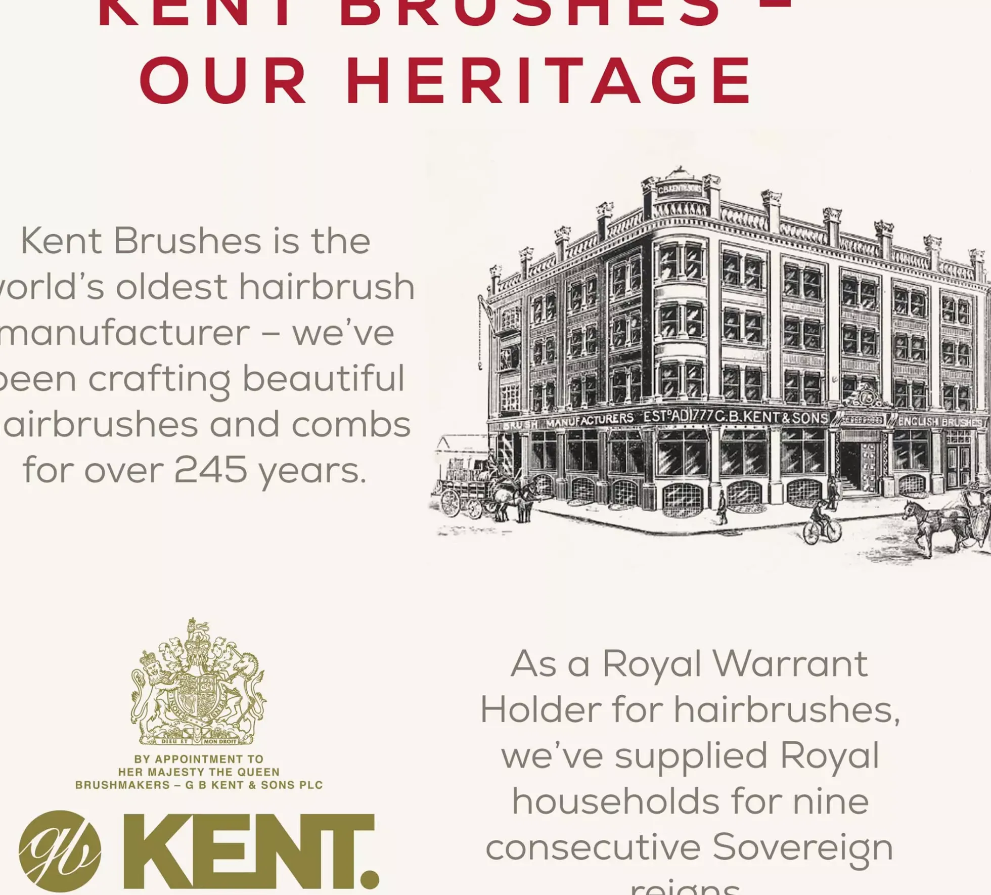 Kent Brushes Pebble Hedgehog Detangling Brush – mini utredningsborste