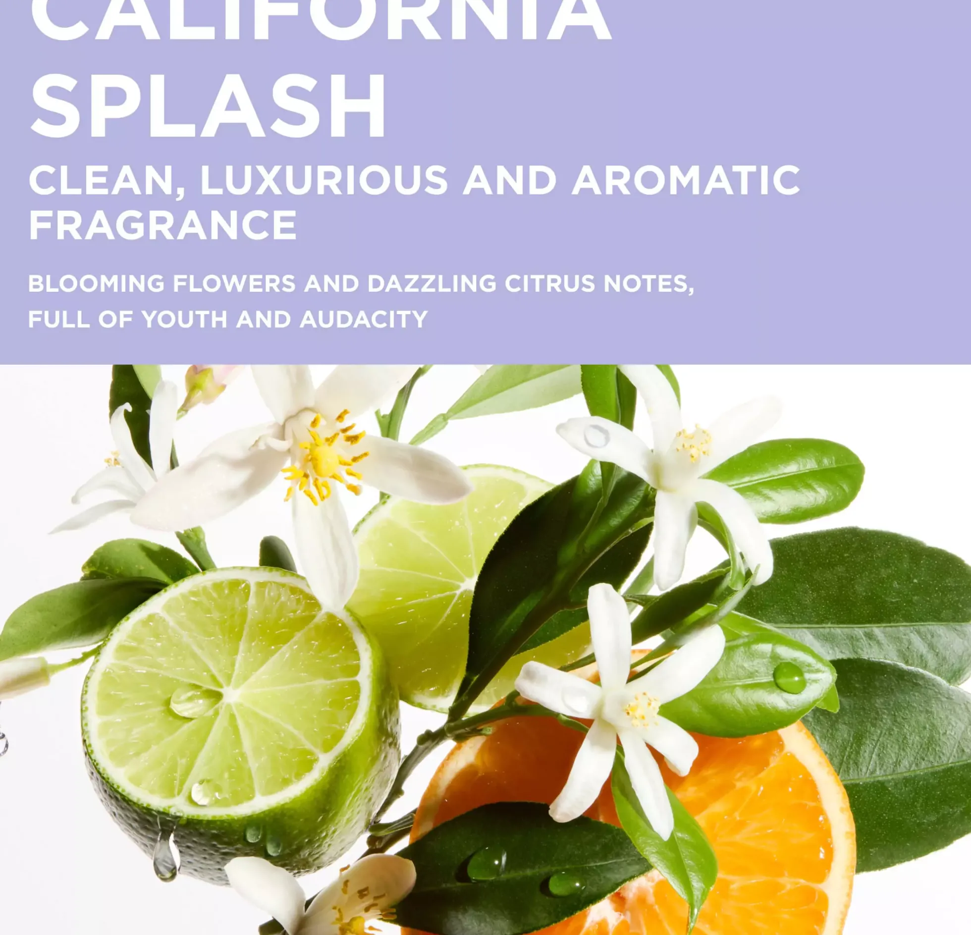 KérastaseBlond Absolu Bain Ultra-Violet Shampoo for lightened, cool blonde or grey hair 250 ml