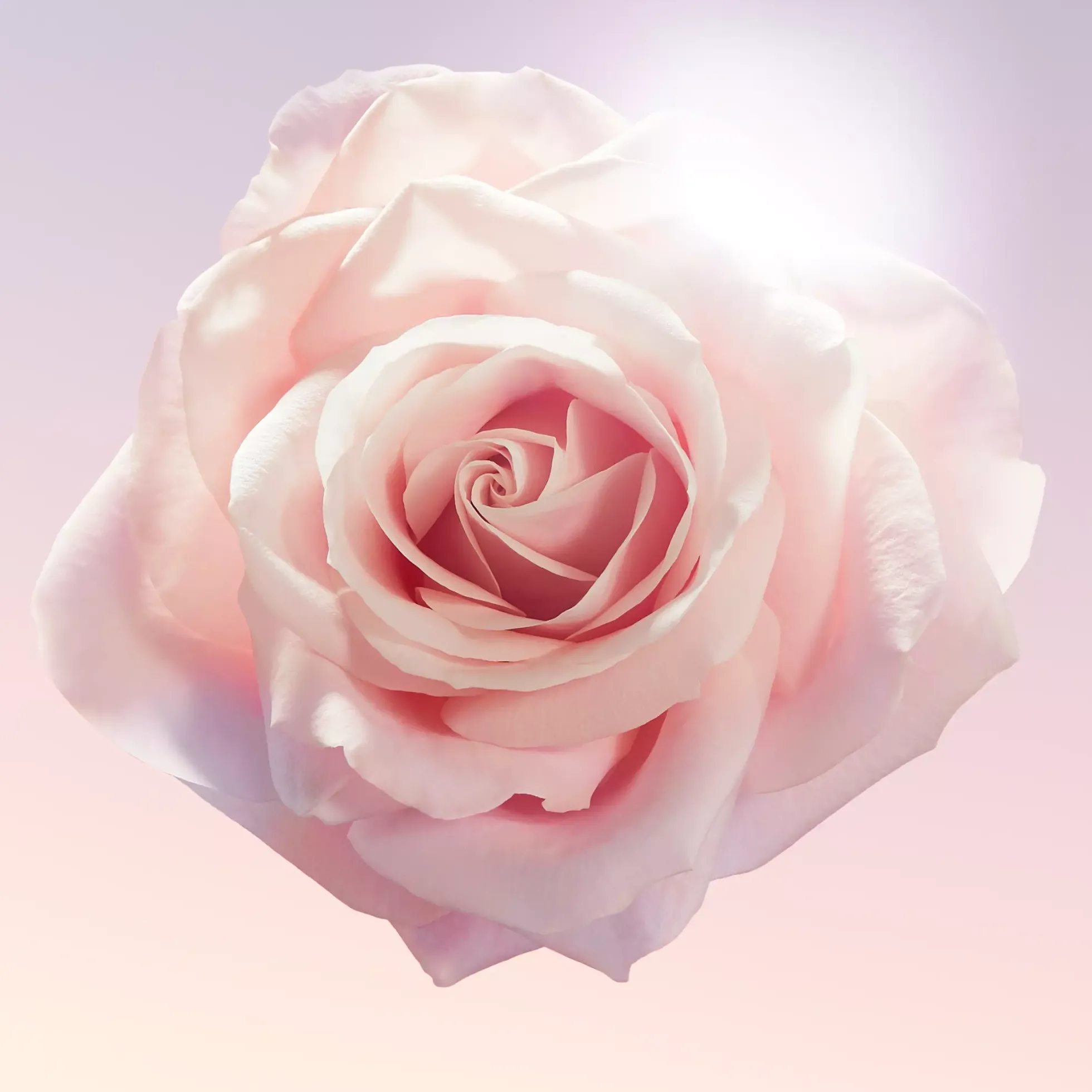 Lancôme Idole Eau de Parfum 50 ml