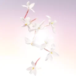 Lancôme Idole Eau de Parfum 50 ml