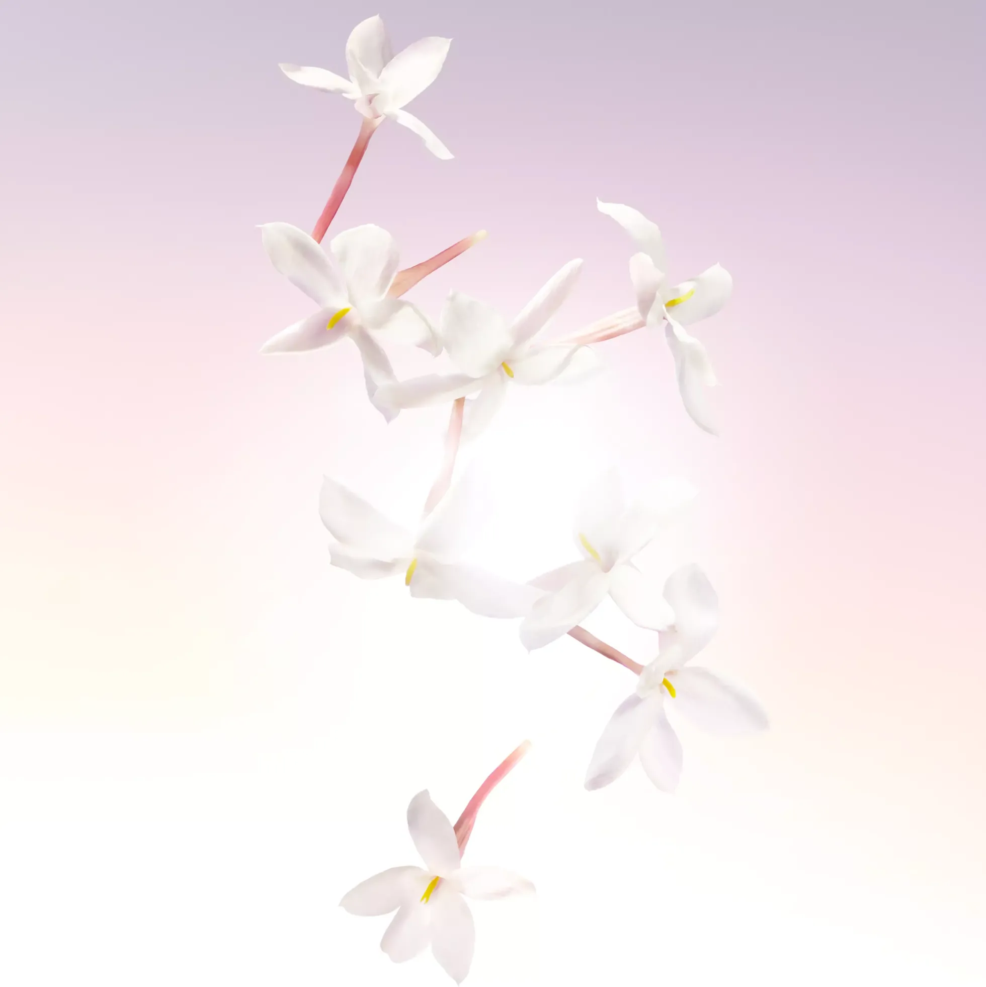 Lancôme Idole Eau de Parfum 50 ml