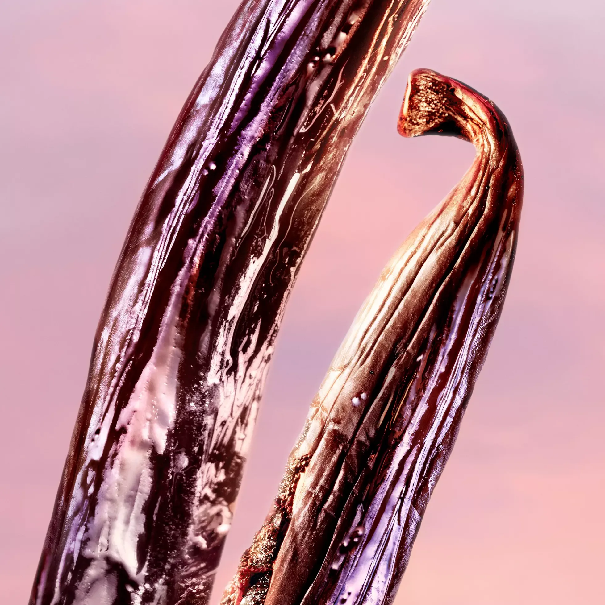 LancômeLa Vie est Belle Vanille Nude Eau de Parfum 30 ml