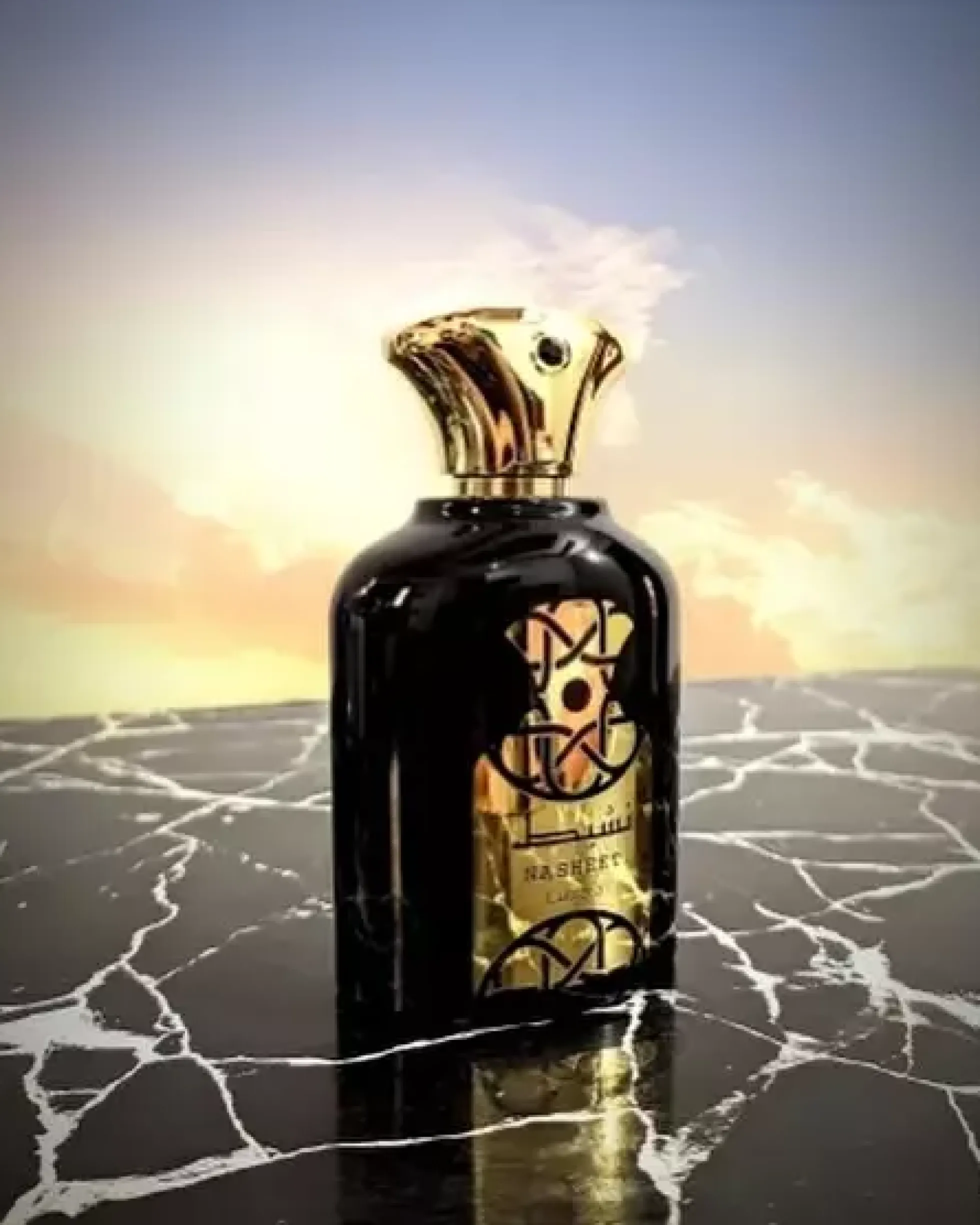 Lattafa Nasheet Eau de Parfum 100 ml