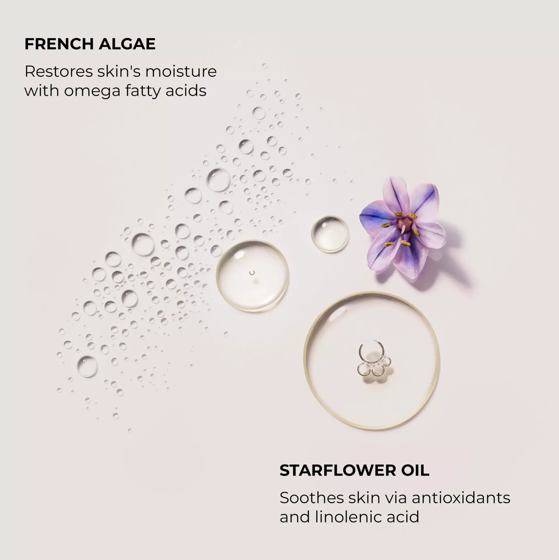 Laura Mercier Hand Cream Soufflé Almond Coconut 50 ml