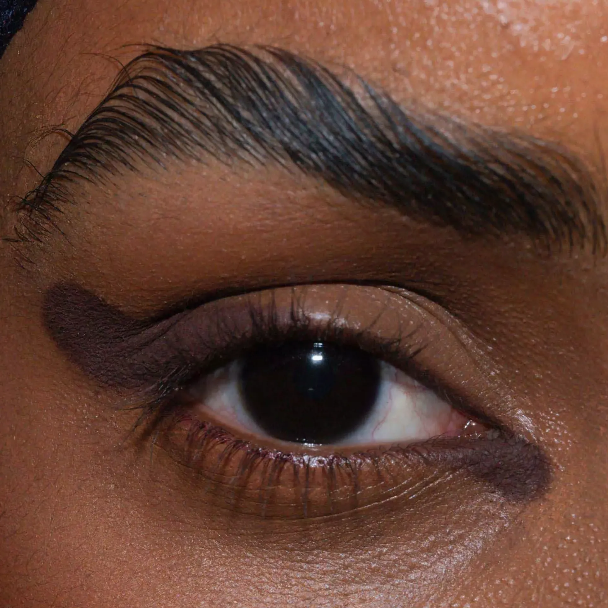 LH cosmetics The Single Friend Zone