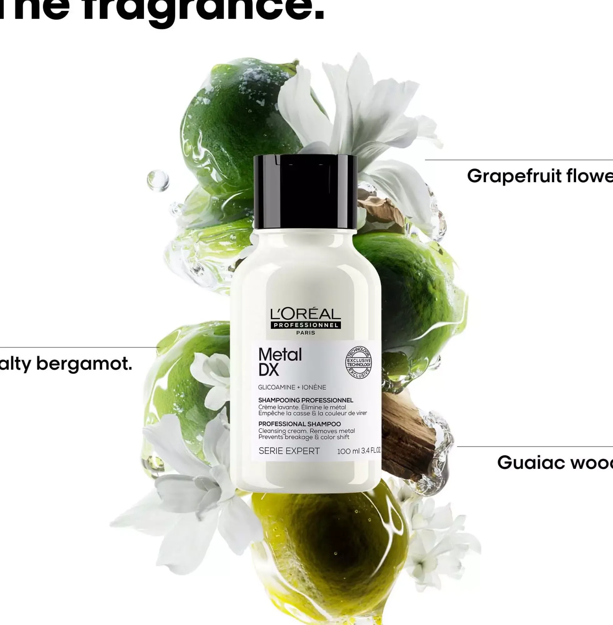 L'Oréal ProfessionnelMetal DX Serie Expert Shampoo 100 ml