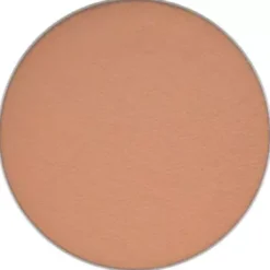 MAC Cosmetics Eye Shadow Pro Palette Refill Tete-A-Tint
