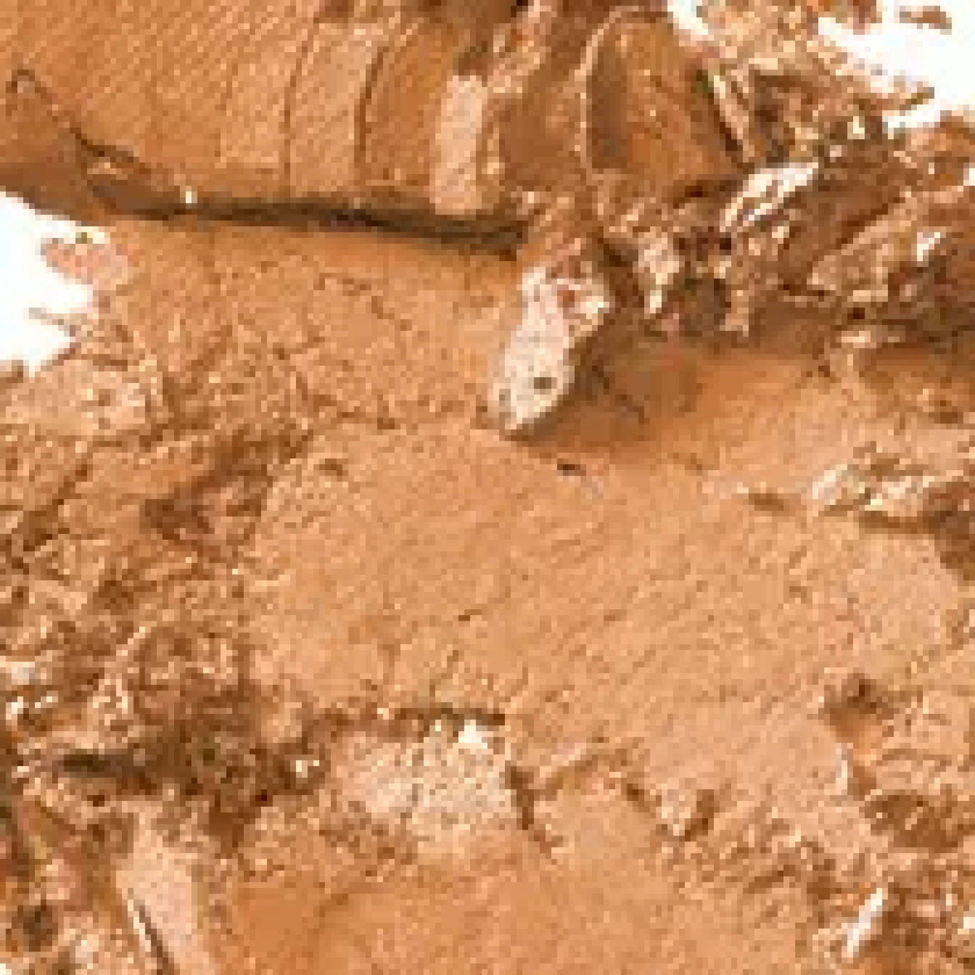 MAC Cosmetics Frost Eye Shadow Pro Palette Refill Naked Lunch