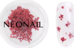 NEONAIL Dried flowers 08 Red
