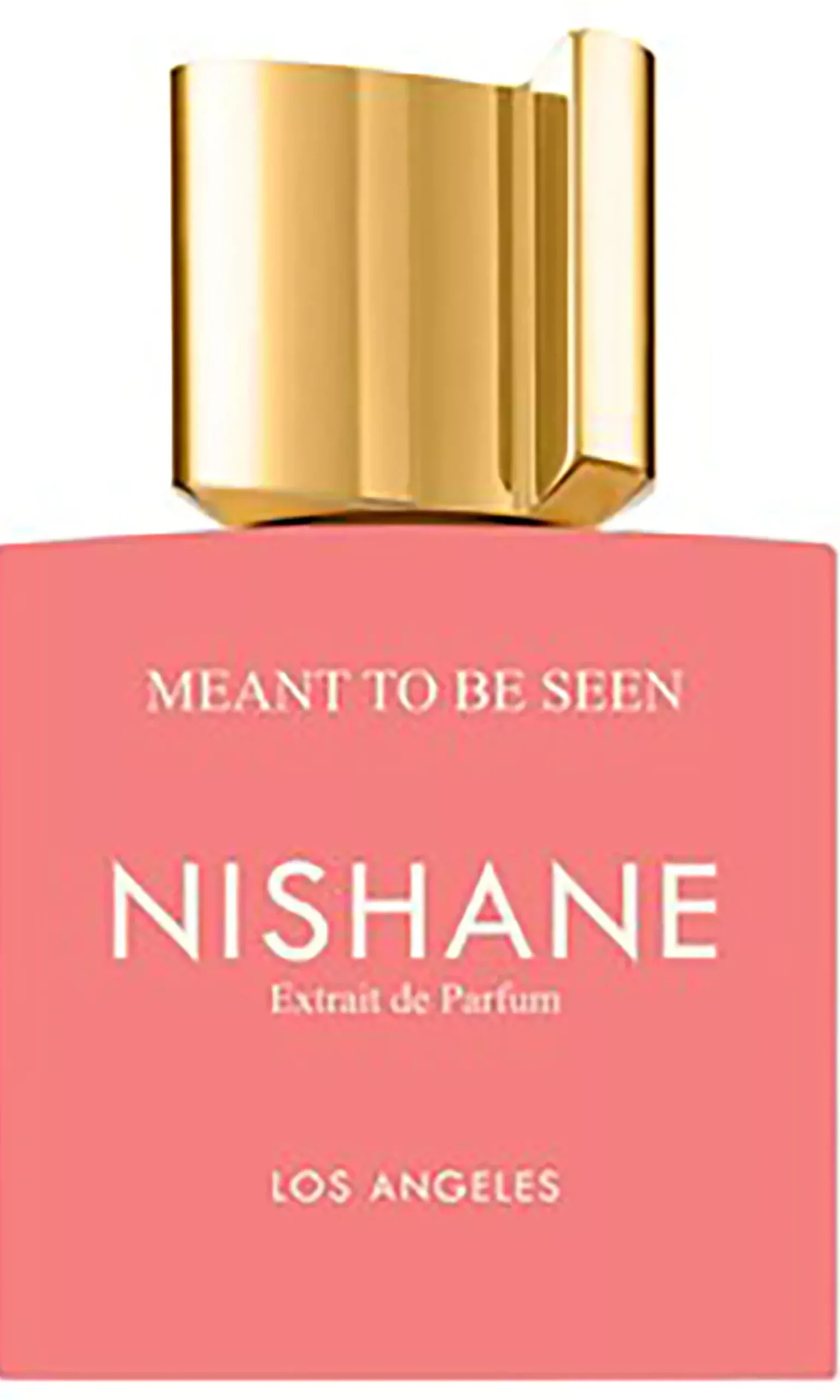 Nishane Meant To Be Seen Eau de Parfum 50 ml