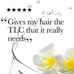 Ogx Coconut Miracle Oil Hair Mask 300 ml