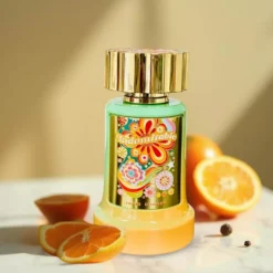 Paris Corner Indomitable Eau de Parfum 100 ml