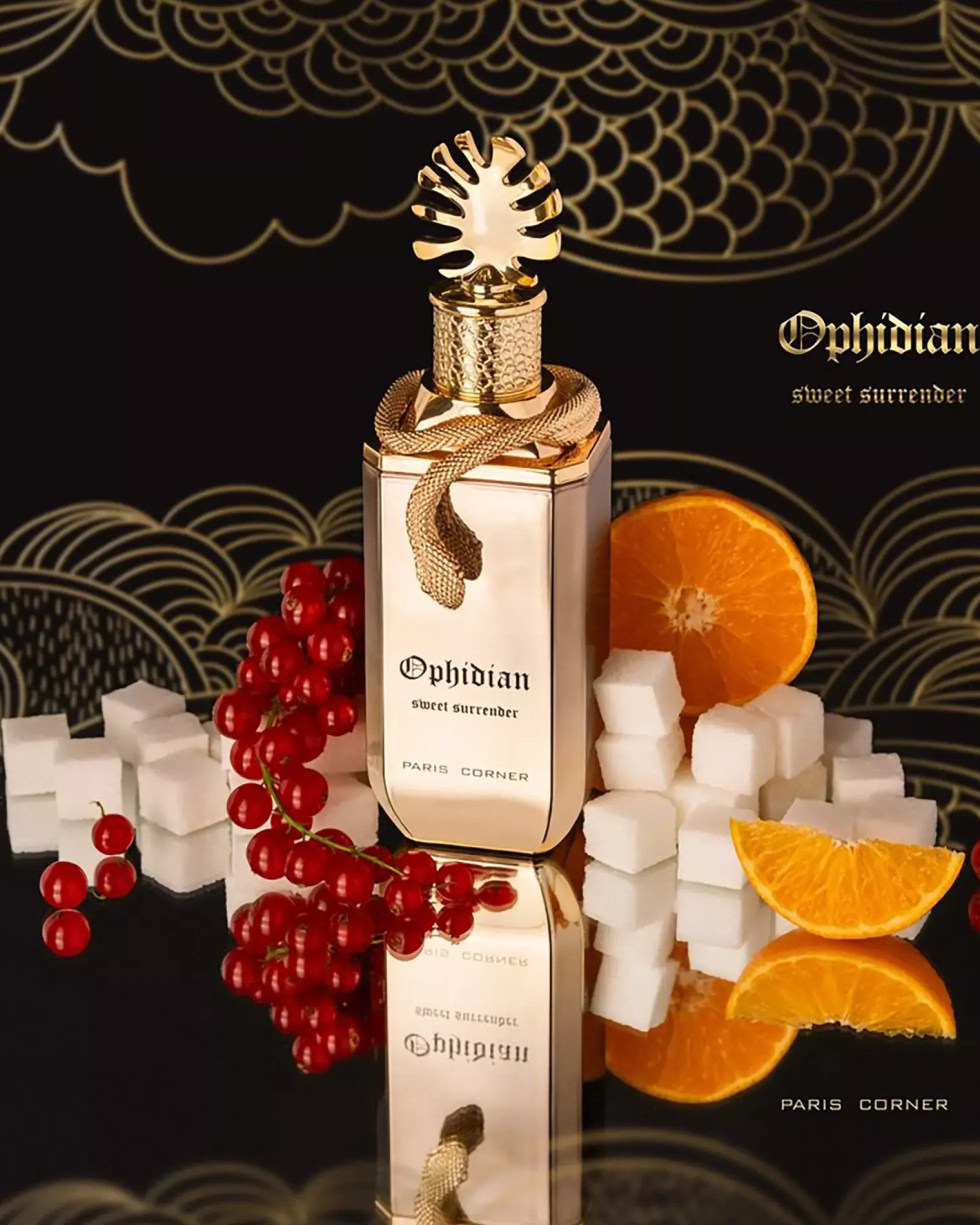 Paris Corner Ophidian Sweet Surrender Eau de Parfum 100 ml