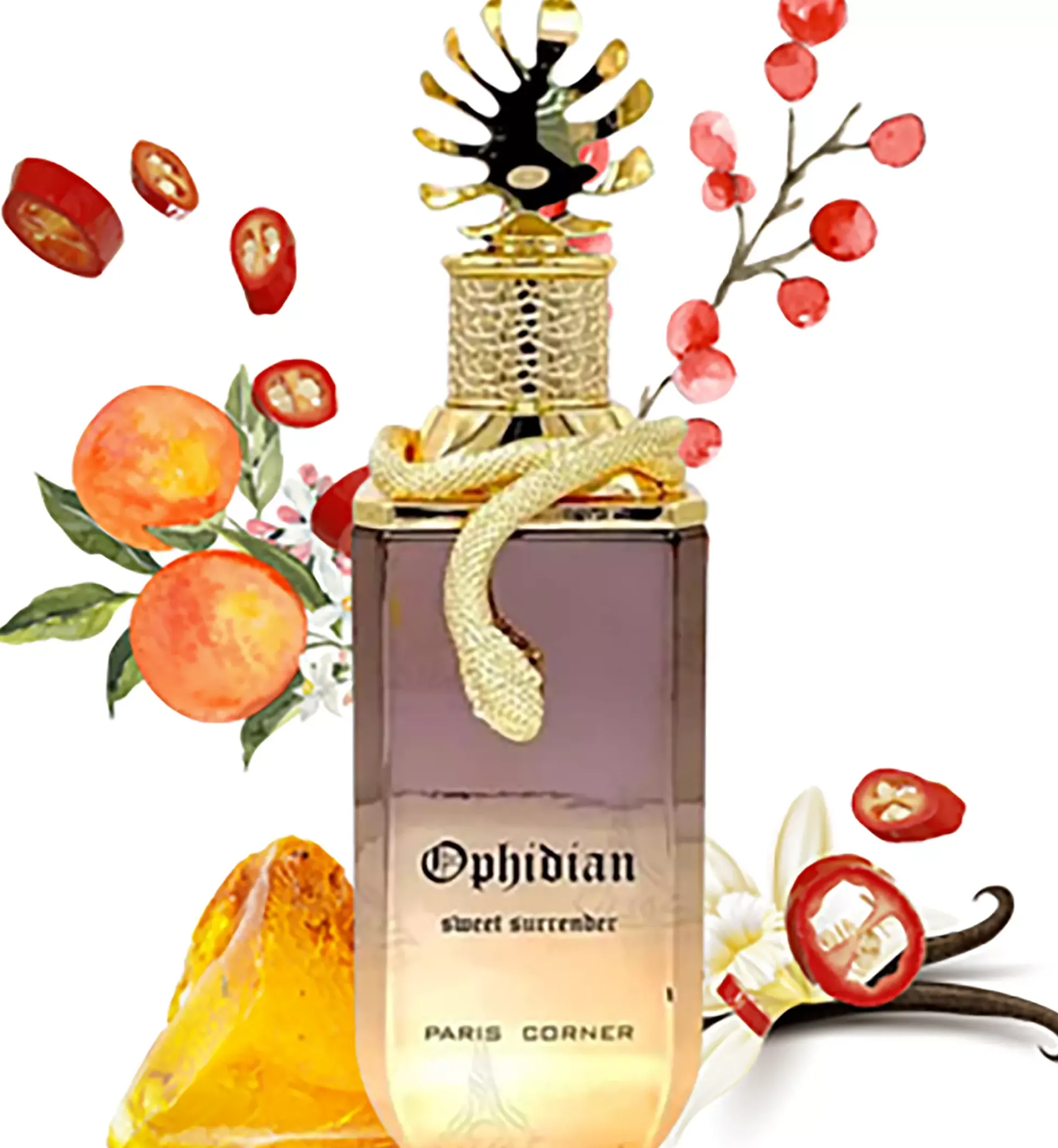 Paris Corner Ophidian Sweet Surrender Eau de Parfum 100 ml