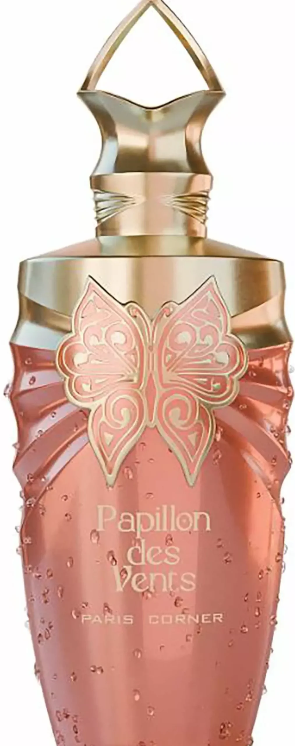 Paris Corner Papillons Des Vents Eau de Parfum 100 ml