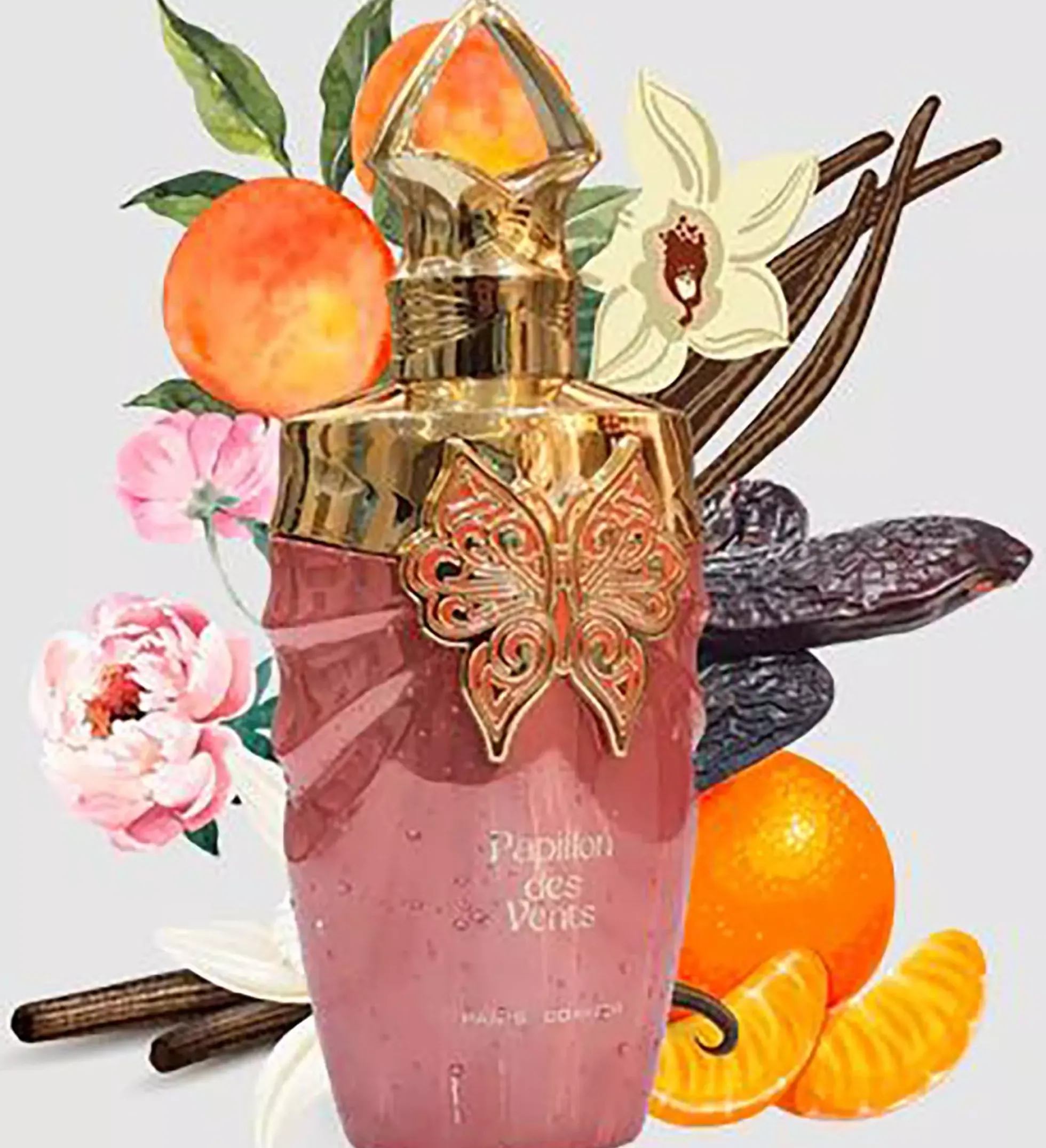Paris Corner Papillons Des Vents Eau de Parfum 100 ml